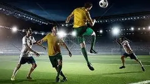 谢昌晶主席莅临我县考察广东省足协工作