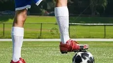 乐鱼体育 产品 102418 z6y