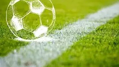 乐鱼体育 产品 115801 yf2