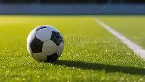 海南自贸港封关运营，体育产业迎哪些发展良机？