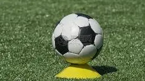 乐鱼体育 产品 094656 aqo