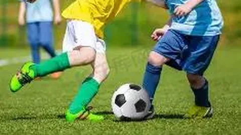 乐鱼体育 产品 100035 ddi